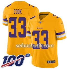 Minnesota Vikings Tröjor Dalvin Cook 33 Nike Vit 100th - Herr